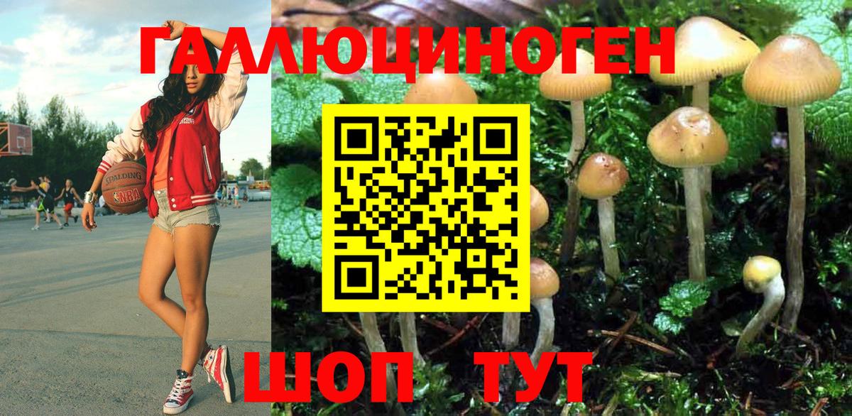 Псилоцибиновые грибы GOLDEN TEACHER Кандалакша
