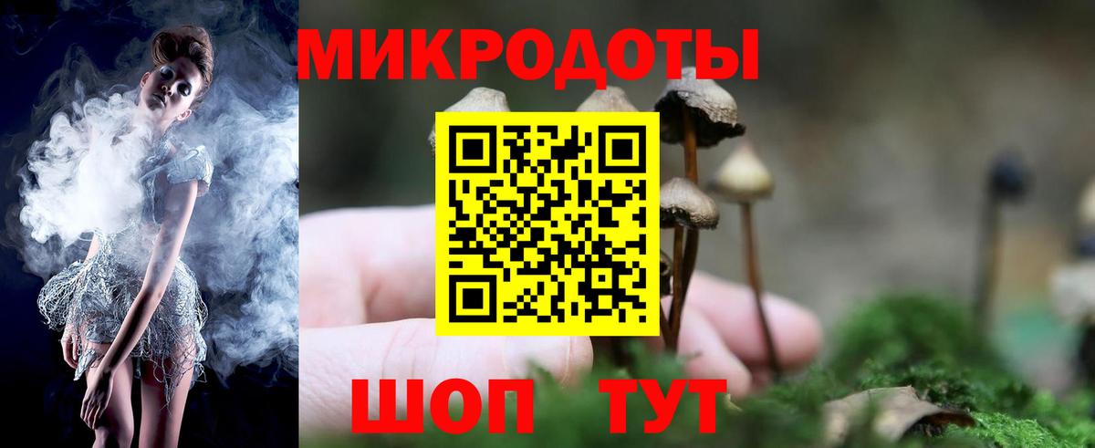 Галлюциногенные грибы Psilocybe  Вход с VPN  Кандалакша 